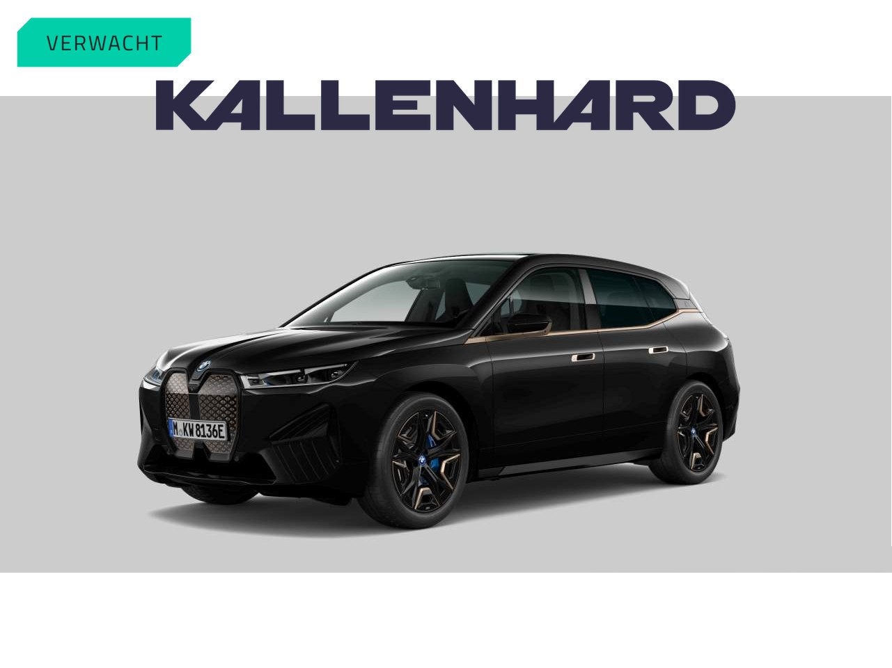 BMW iX xDrive50 - Pano - Bowers & Wilkins - Driving Ass Prof, 629 km, Gebruikt, IX, Zwart