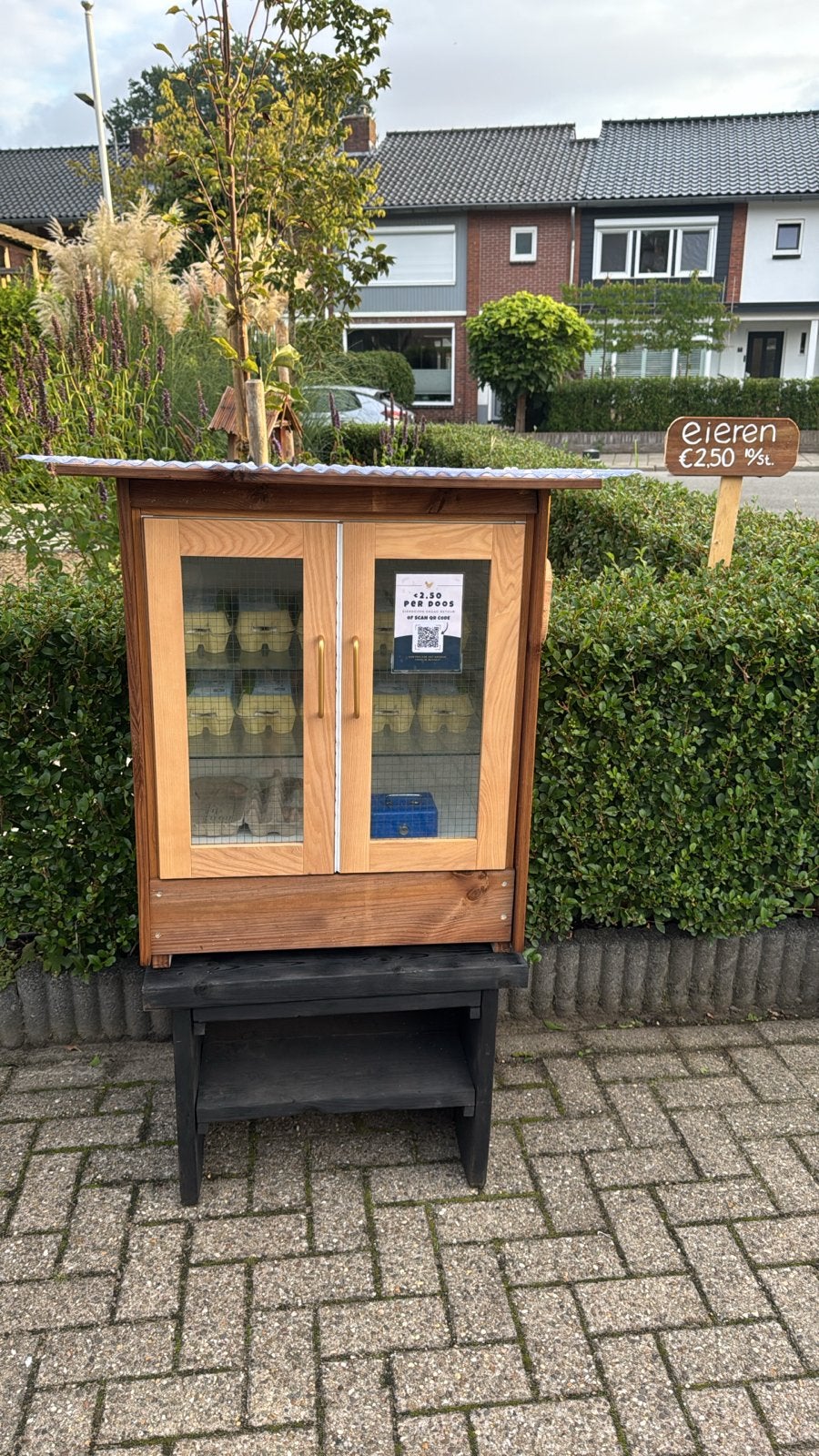 Eieren 10 stuks €2,50 (vrije uitloop), Dieren en Toebehoren, Kip