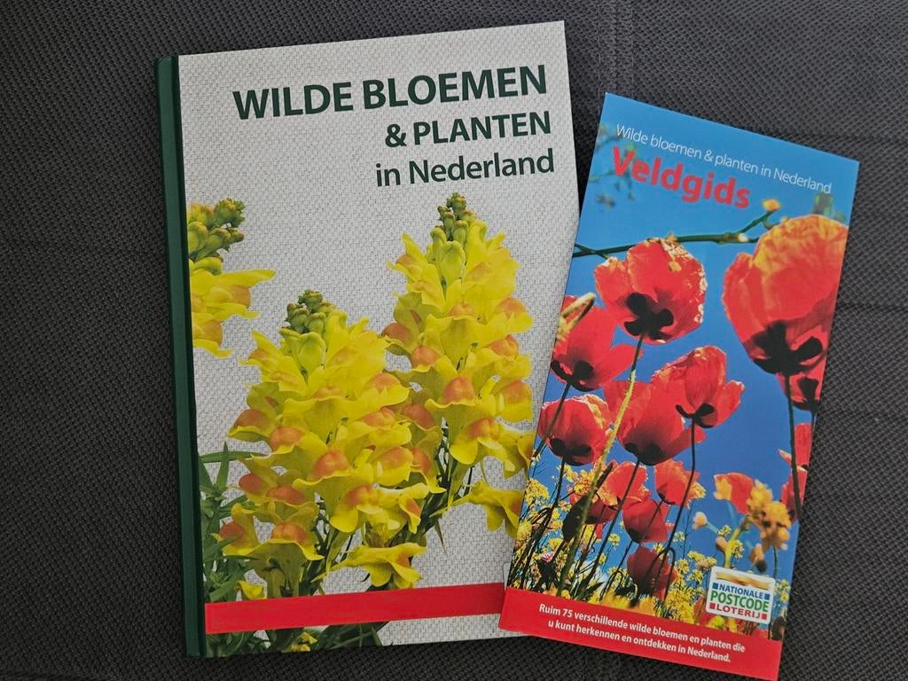 Wilde bloemen & planten, Ophalen of Verzenden, Nieuw