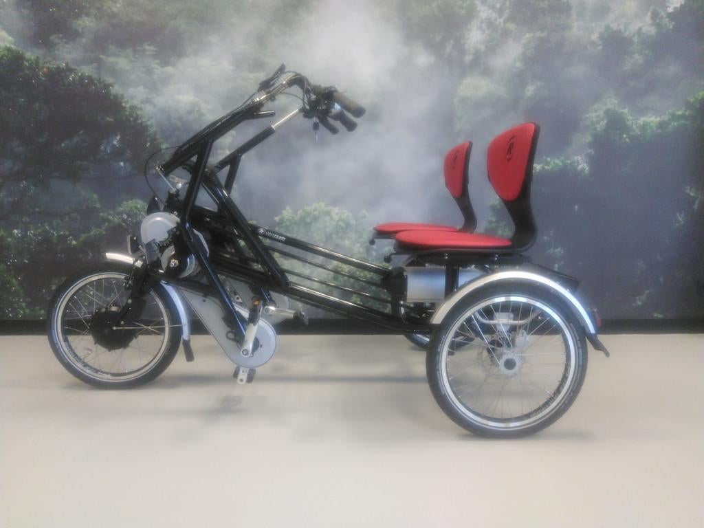 Van Raam fun 2 Go duofiets, Ophalen of Verzenden, Gebruikt, Van Raam