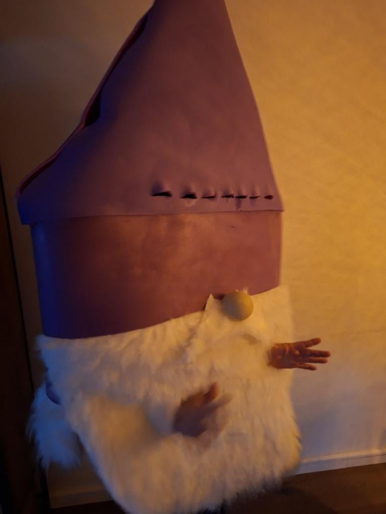 Mooie grote Gnoom kostuums, Ophalen, Carnaval, Maat 46/48 (XL) of groter, Zo goed als nieuw