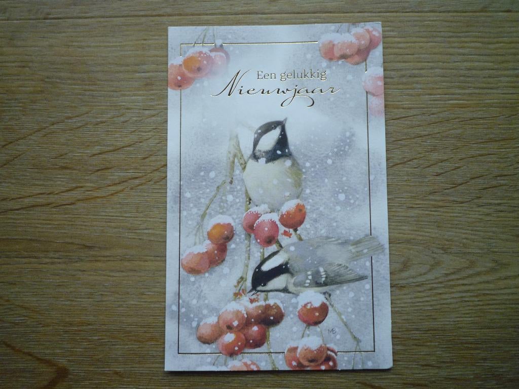 Koolmezen koolmees vogel Marjolein Bastin, Ophalen of Verzenden, Voor 1920, Vogel