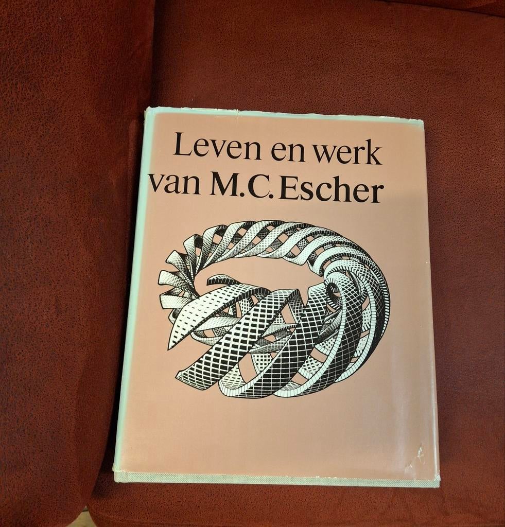Leven en werk van escher, Boeken, Kunst en Cultuur | Beeldend, Ophalen, Gelezen