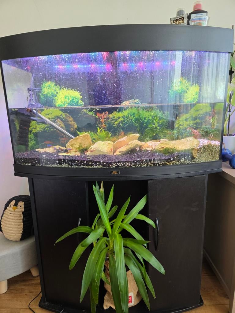 Aquarium 180liter 128x92x41cm, Ophalen, Leeg aquarium