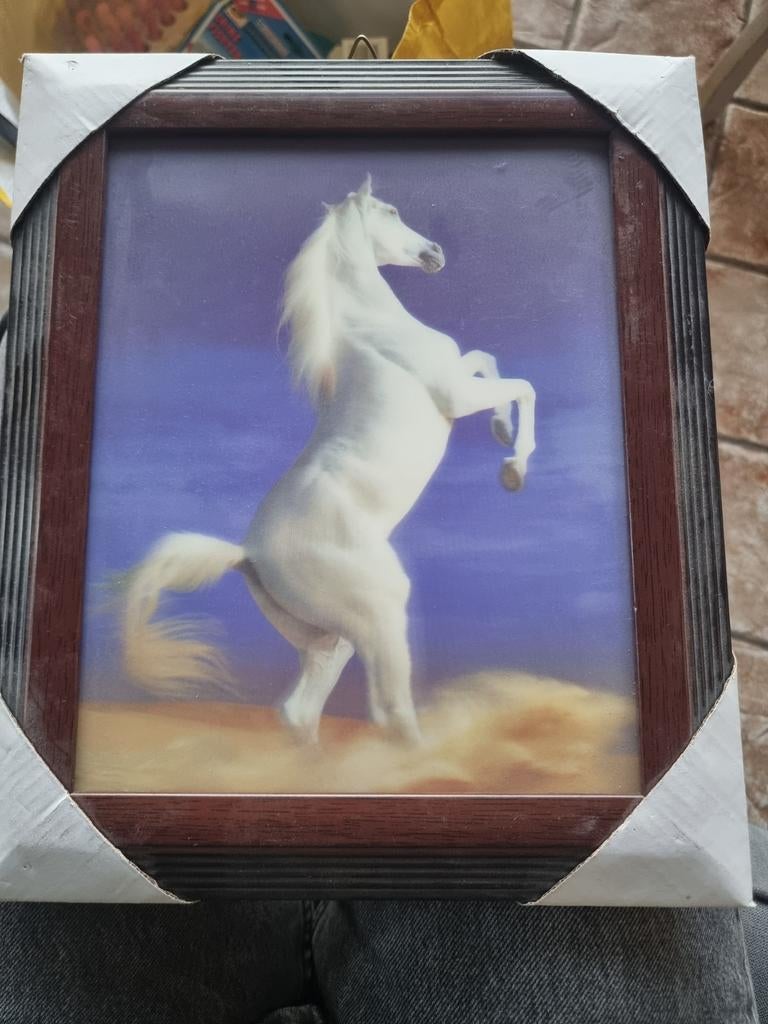 3D schilderij paard, Minder dan 50 cm, Ophalen of Verzenden, Zo goed als nieuw, Foto of Poster