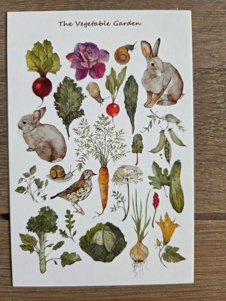 GROENTEN TUIN, Ophalen