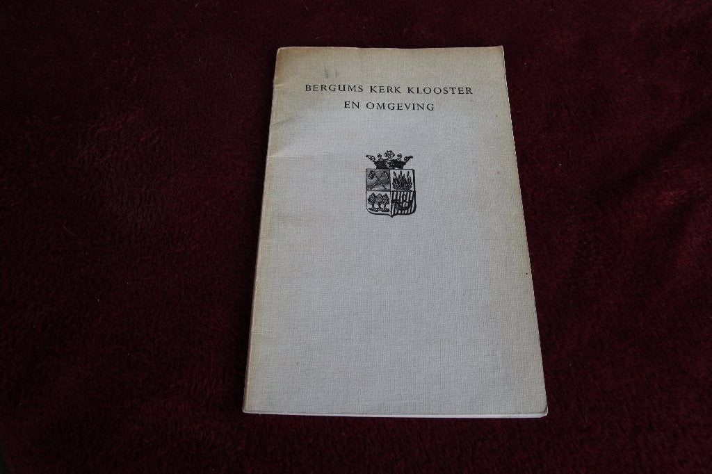 Bergums kerk klooster en omgeving, Ophalen of Verzenden, Gelezen