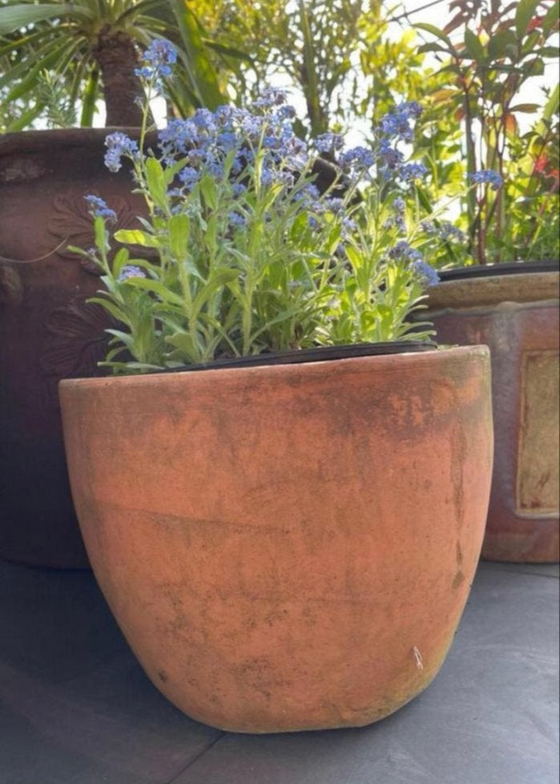 Oud Hollandse kwaliteit dikke terracotta bol mooie bloempot, Rond, Zo goed als nieuw, Minder dan 40 cm, Balkon