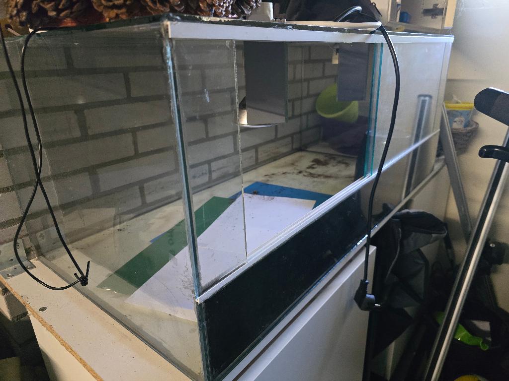 Glazen terrarium 100*50*50, Dieren en Toebehoren, Reptielen en Amfibieën | Toebehoren, Ophalen, Gebruikt, Terrarium of Paludarium