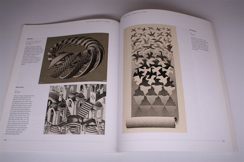 Escher in Paleis Soestdijk — De Tentoonstelling [2012], Ophalen of Verzenden, Gelezen