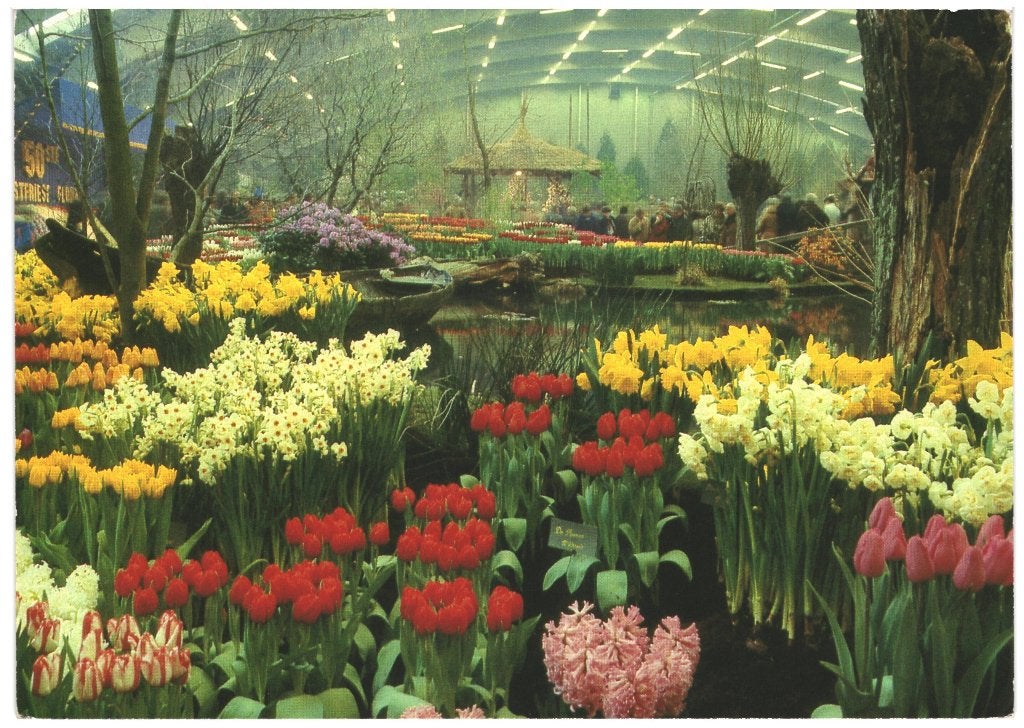 43739 Bovenkarspel Jr 70 NH Westfriese Flora Onbeschreven, Ophalen of Verzenden, 1960 tot 1980, Ongelopen, Noord-Holland