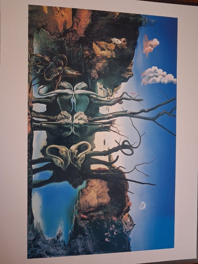Dali, Ophalen, 50 – 75, Zo goed als nieuw, Schilderij