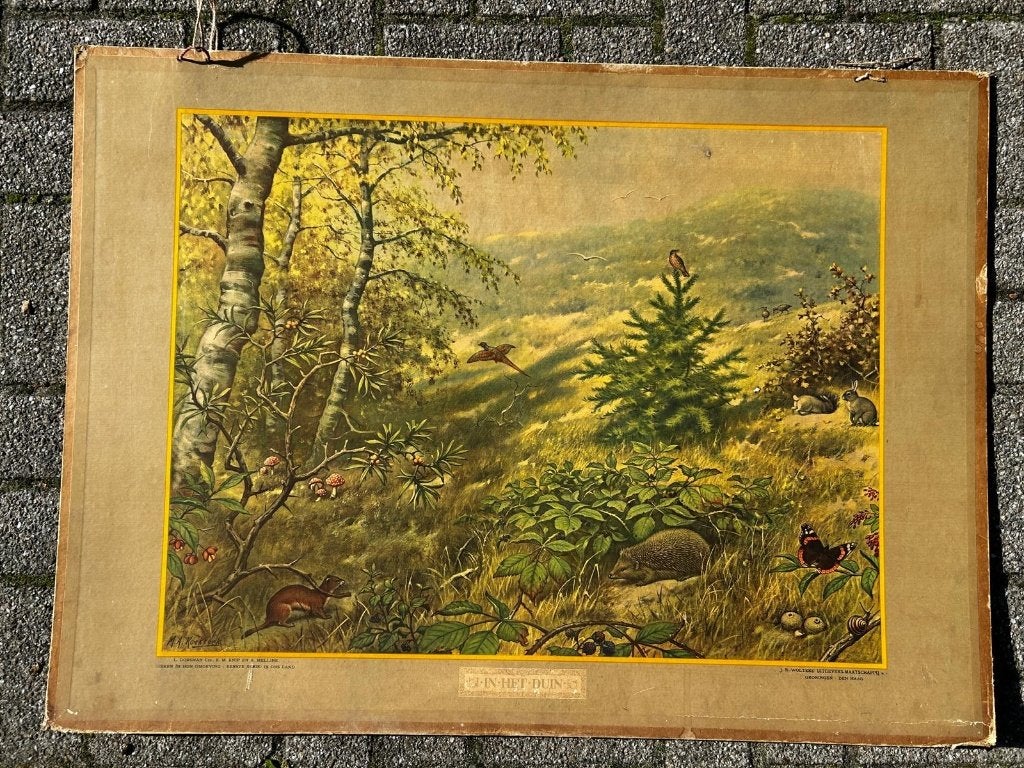 In het duin, Ophalen of Verzenden, Natuur en Biologie