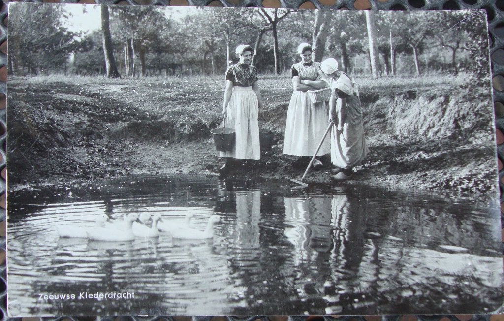 ansichtkaart Zeeland e/o nr. 8, Verzamelen, Ansichtkaarten | Nederland, Gelopen, Zeeland, 1960 tot 1980, Ophalen of Verzenden