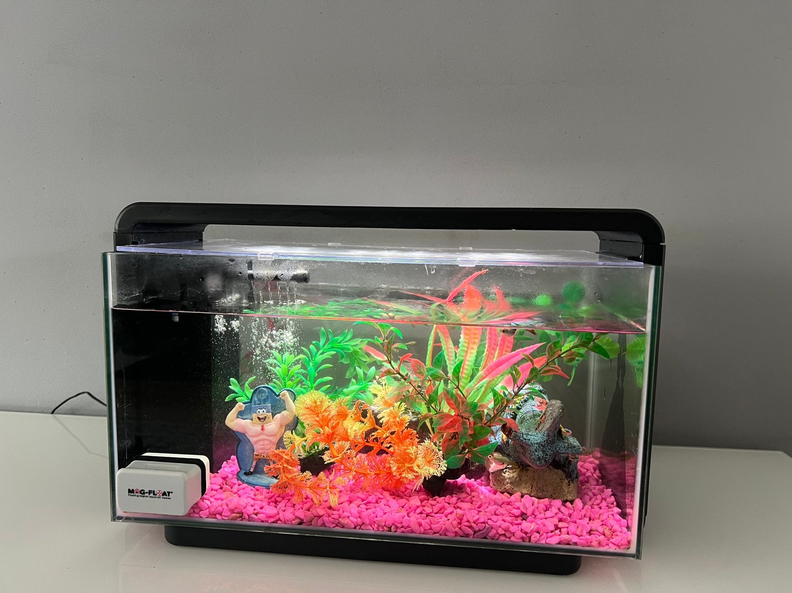Aquarium met guppies, Ophalen, Inclusief vissen, Zo goed als nieuw, Gevuld zoetwateraquarium