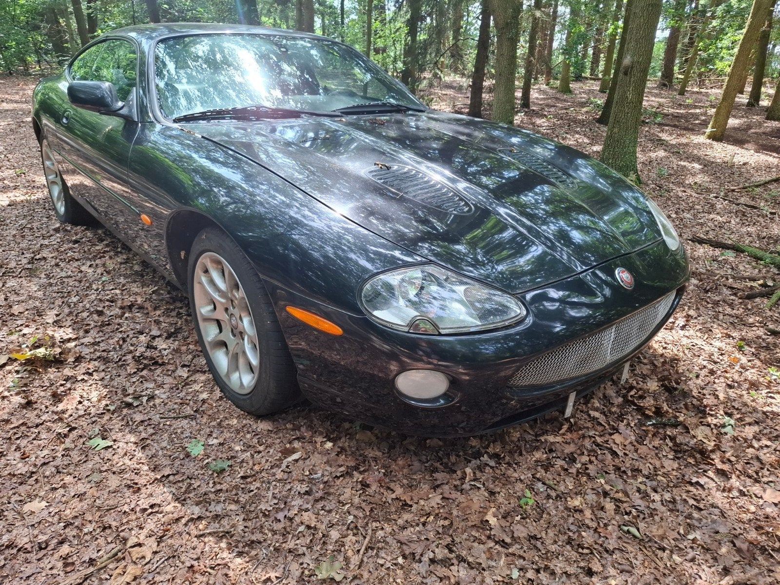 Jaguar xkr onderdelen, Ophalen of Verzenden, Jaguar, Motorkap