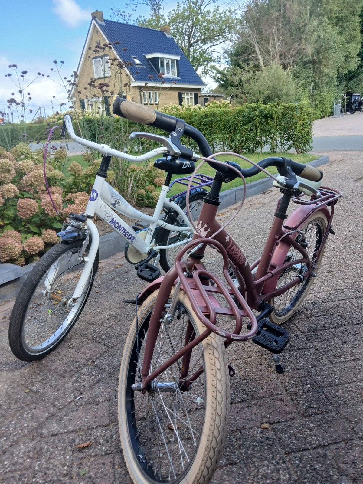 meisjes fiets, Fietsen en Brommers, Fietsen | Dames | Omafietsen, Ophalen of Verzenden, Zo goed als nieuw