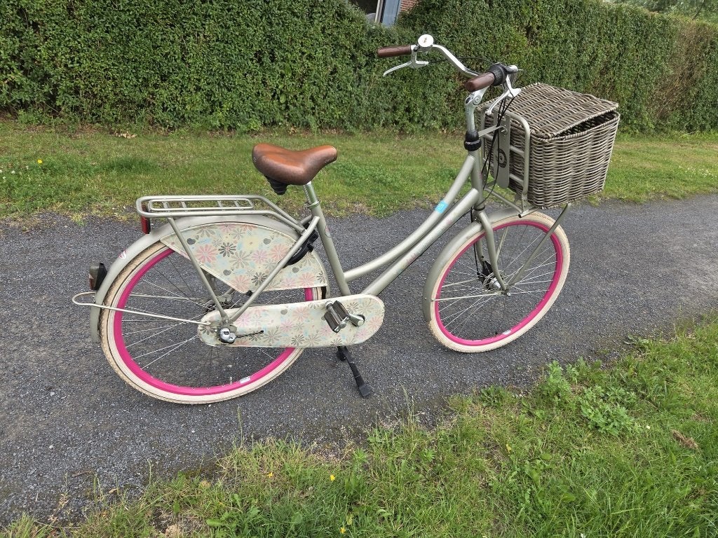 Cortina Lief Stadsfiets 28" | Grijs + Roze | Mand, Gebruikt, 47 tot 50 cm, Versnellingen, Schijfrem