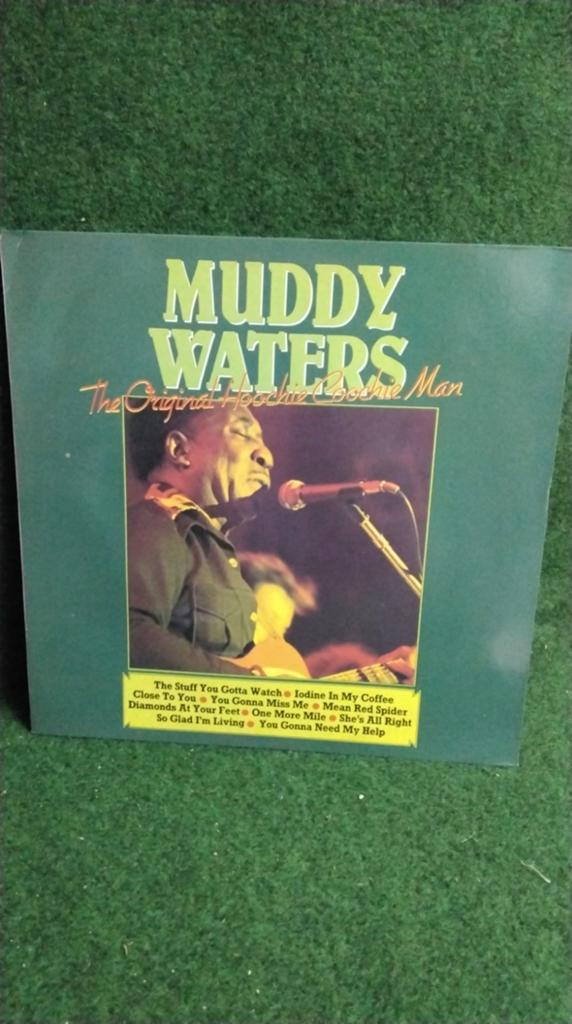 MUDDY  WATERS, Ophalen of Verzenden, Gebruikt, 12 inch, Poprock