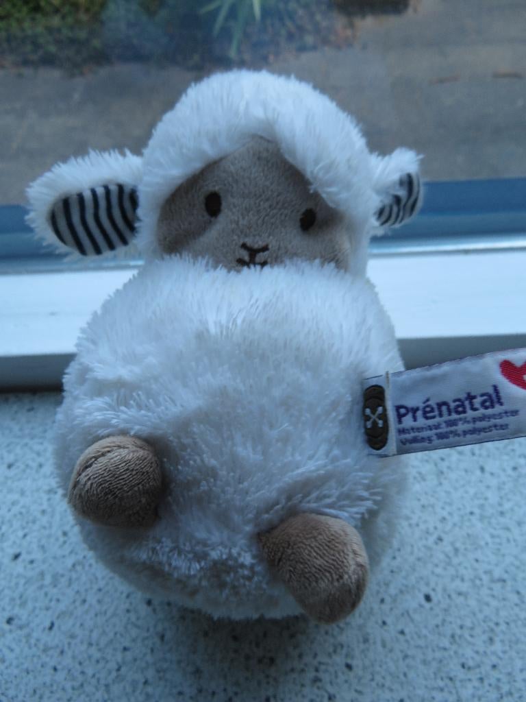 Schaap schaapje Siep van Prenatal zacht velours, Kinderen en Baby's, Speelgoed | Knuffels en Pluche, Prénatal, Overige typen, Ophalen of Verzenden