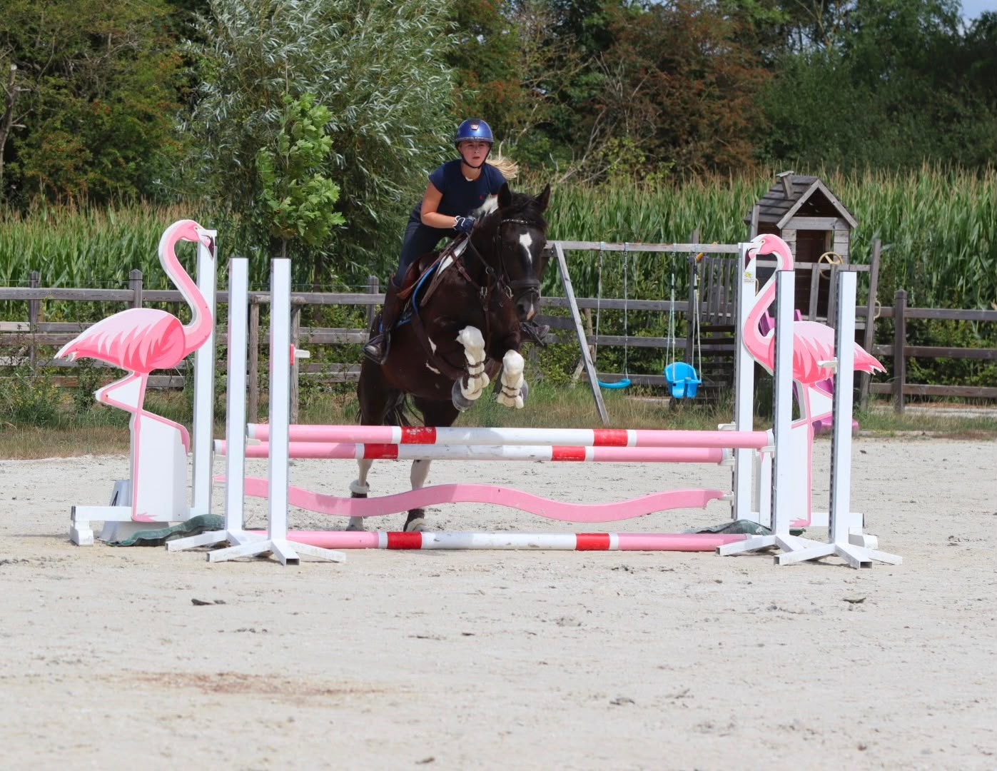 knappe allround merrie met een prachtig barok uiterlijk, Merrie, Minder dan 160 cm, Met stamboom, Zadelmak