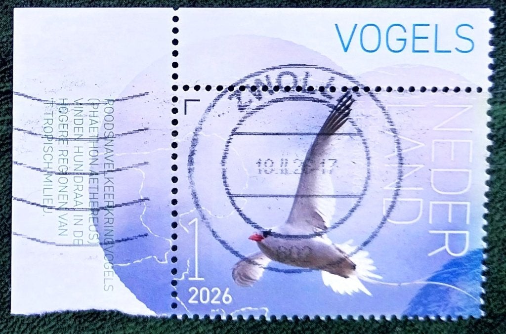 Beleef de natuur 2026 (hoekstuk), Verzenden, Na 1940, Gestempeld