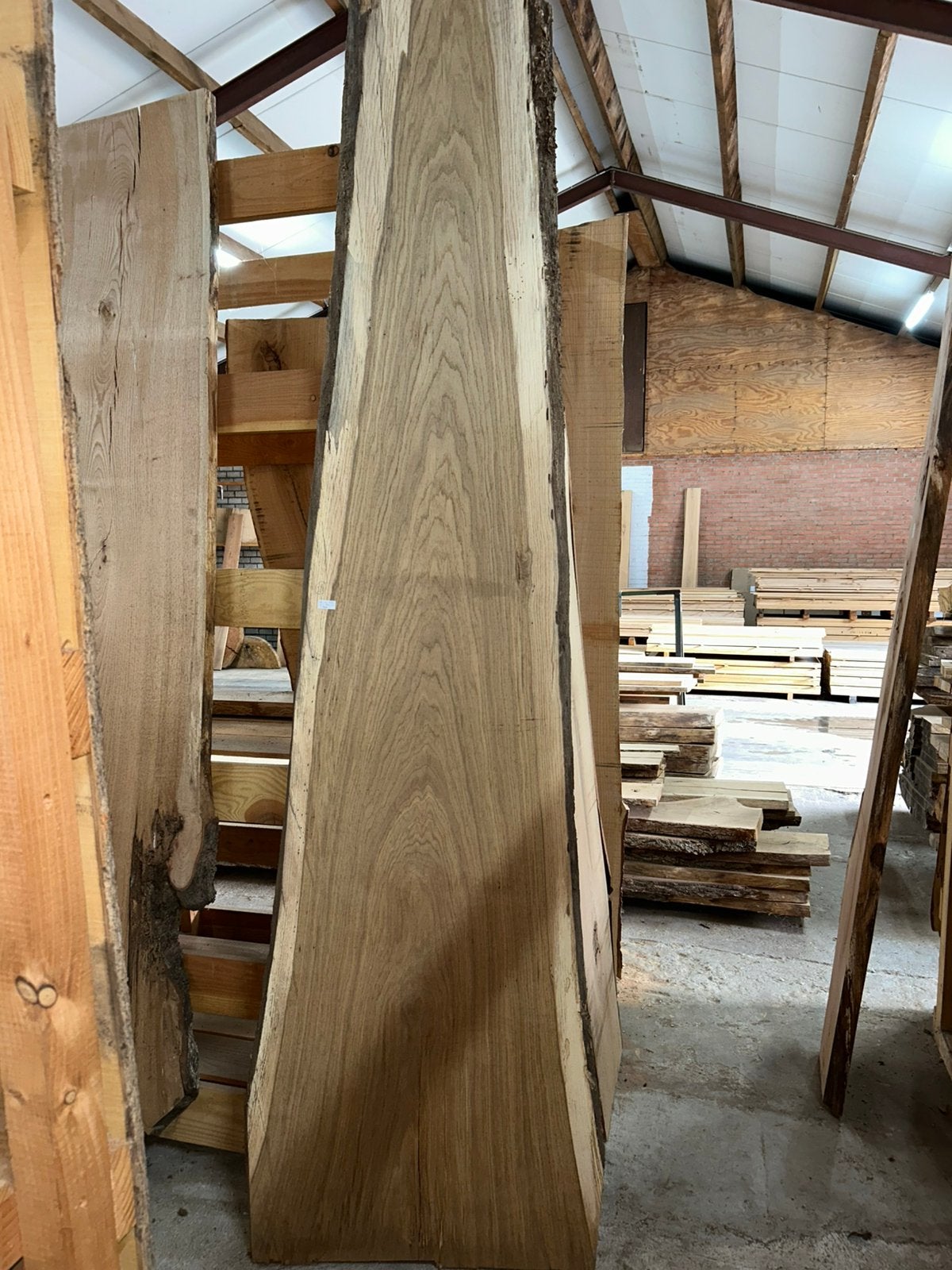 Nr 28/ Boomstamblad europees eiken ca 5x60x280cm, Ophalen, Nieuw, 250 cm of meer, Planken