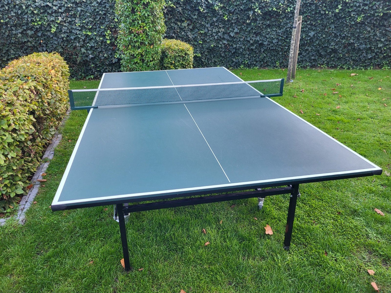 Mooie tafeltennis tafel, Ophalen, Gebruikt, Tafel Indoor, Inklapbaar