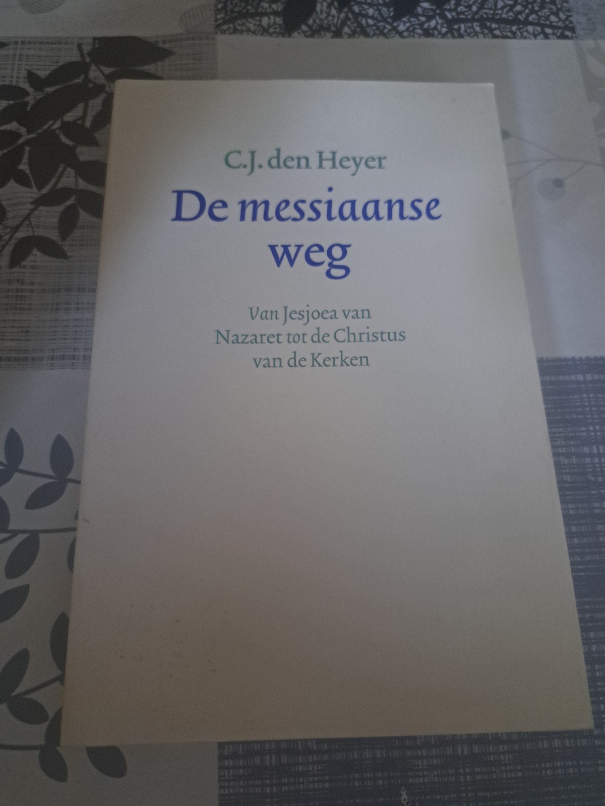 C.J. den Heyer - De messiaanse weg, Ophalen of Verzenden, Zo goed als nieuw, C.J. den Heyer
