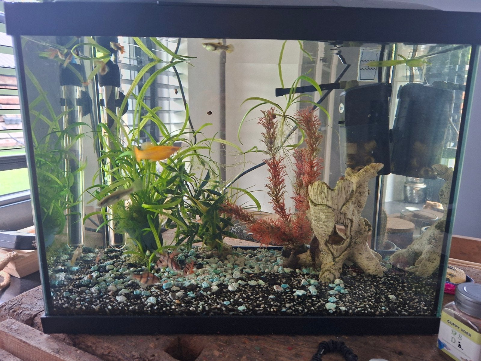 aquarium, Ophalen, Gebruikt, Overige typen