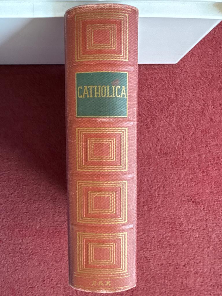 Catholica - Geïllustreerd Encyclopedisch Vademecum, Ophalen of Verzenden, Gelezen, Christendom | Katholiek