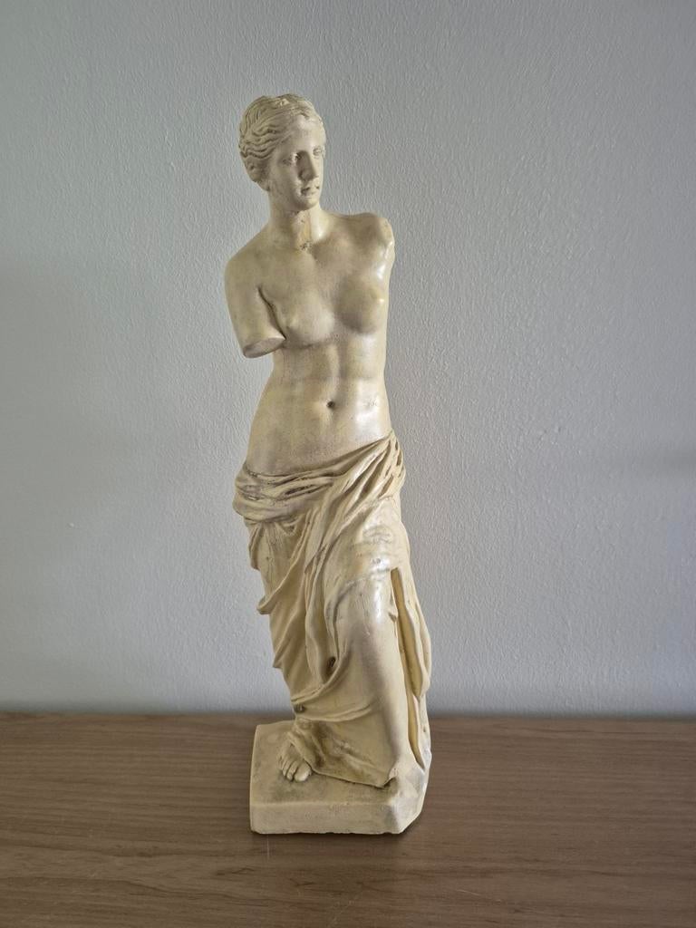 Groot Venus van Milo beeld 49 CM, Antiek en Kunst, Ophalen of Verzenden