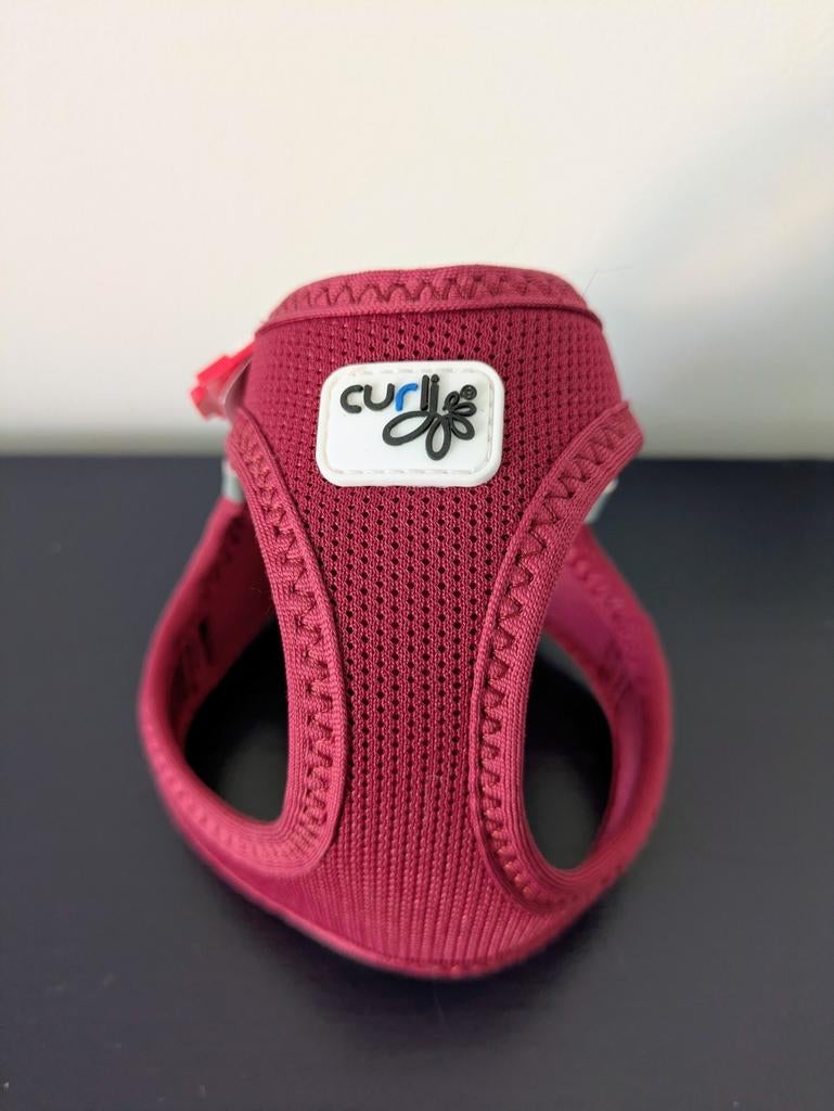 Curli harnas XXS 2XS hond of kat, Ophalen of Verzenden, Nieuw, Hondenriem-accessoire