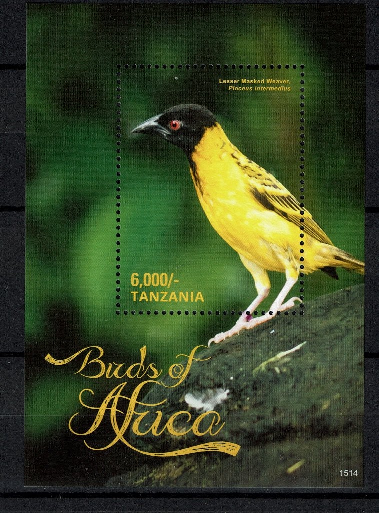TANZANIA 2015 PF BLOK KLEINE TEXTOR WEVER VOGELS BIRDS 2, Ophalen of Verzenden, Postfris, Dier of Natuur