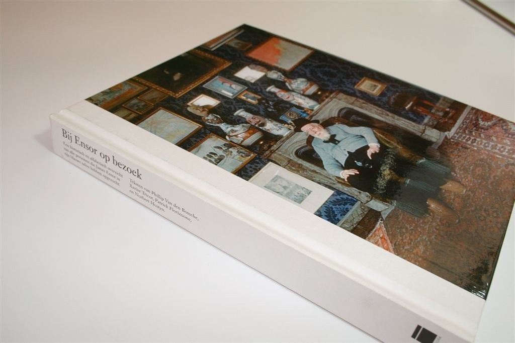 Bij Ensor op Bezoek — Gasten als Einstein, Klee & Anderen, Boeken, Ophalen of Verzenden, Zo goed als nieuw