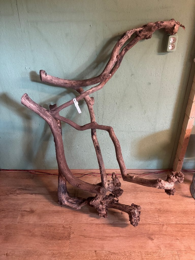 Te koop takken (de allerlaatste), Ophalen, Gebruikt, Tak, Plant, Rots of Steen