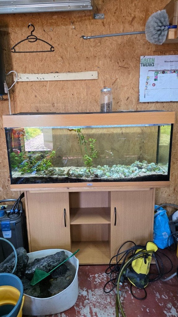 Complete Juwel Rio 240 met onderkast & Oase Thermo 850, Dieren en Toebehoren, Ophalen, Gebruikt, Leeg aquarium, Inclusief deksel