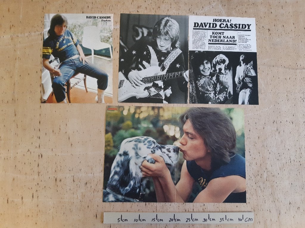 1x Poster A4, 1x poster A3 David Cassidy 1x art knipsel, Verzamelen, Ophalen of Verzenden, Zo goed als nieuw, A1 t/m A3, Muziek
