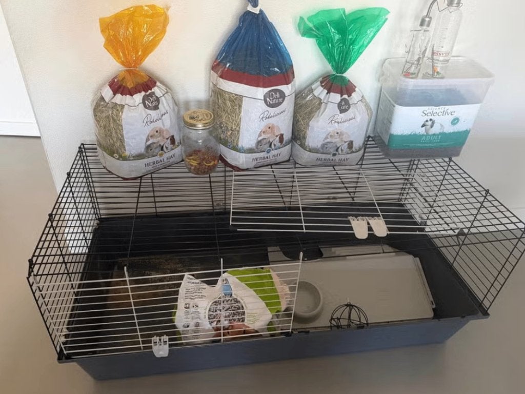 Ferplast Knaagdierenhok konijn/cavia 120 cm / met toebehoren, Dieren en Toebehoren, 110 cm of meer, Zo goed als nieuw, Konijn