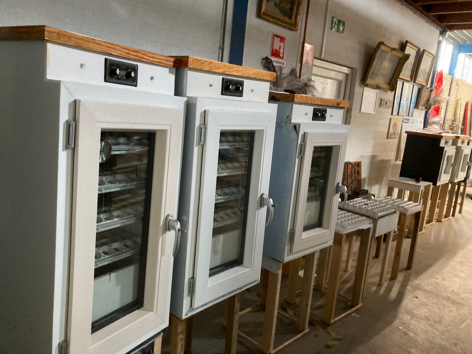 Broedmachine’s, Dieren en Toebehoren, Pluimvee | Toebehoren, Ophalen of Verzenden, Nieuw, Broedmachine