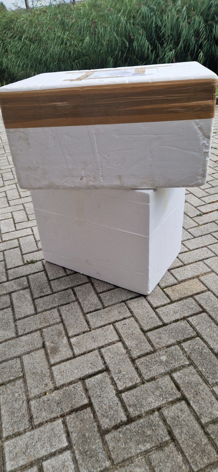 gratis 25 diverse stevige Tempex piepschuim boxen, Ophalen of Verzenden, Krat, Minder dan 35 cm