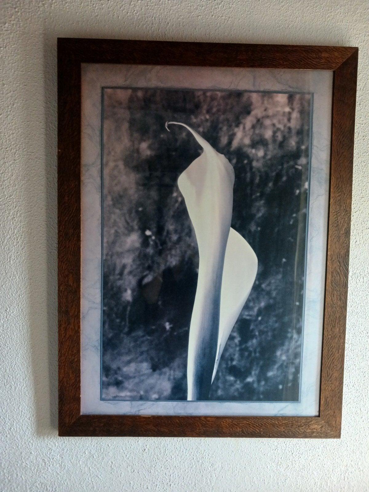 Ingelijste foto van een witte Calla lelie, 50 – 75, Gebruikt, Ophalen of Verzenden, Foto of Poster