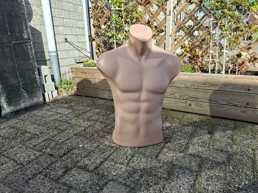 schitterende grote mannen torso boven lijf, Ophalen of Verzenden, Zo goed als nieuw, Mens