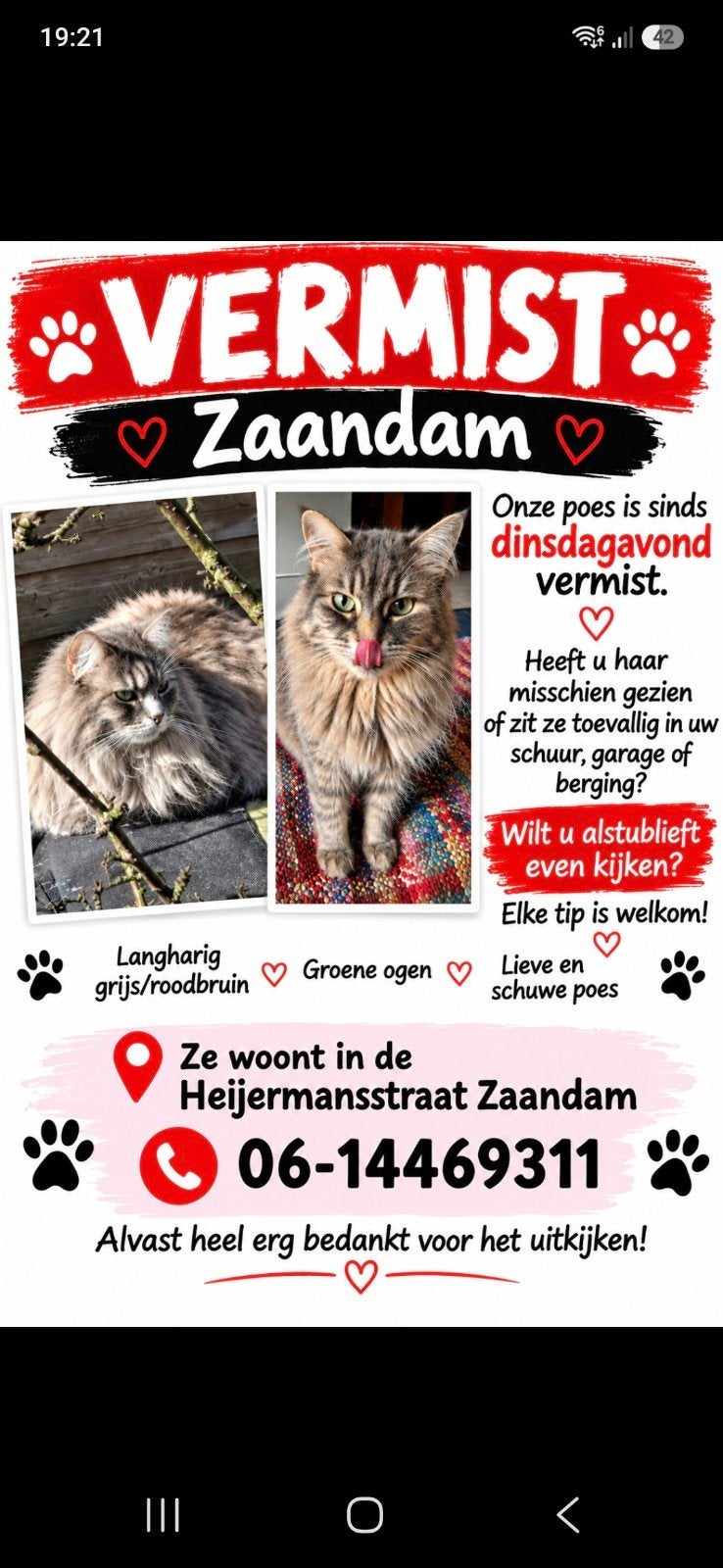 POES VERMIST ZAANDAM, Poes