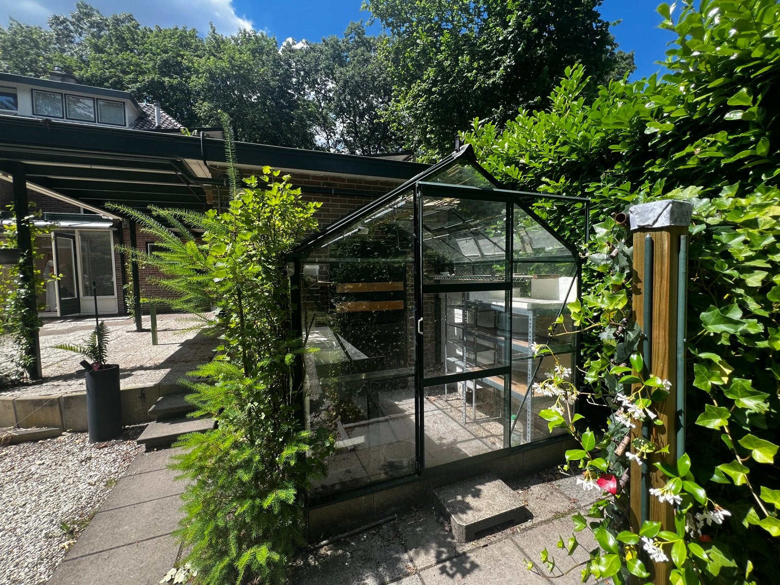 Ruime Glazen Kas met Aluminium Frame en Schappen, Ophalen, Gebruikt, Kweekkas, Glas