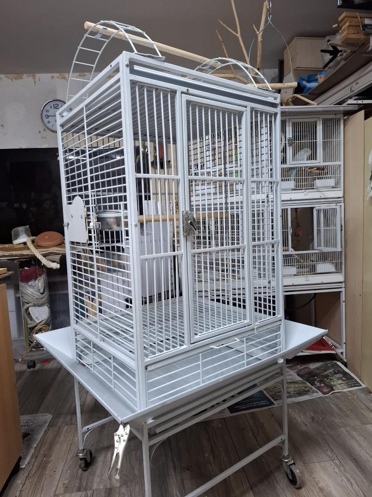 valkparkieten vogel kooi, Dieren en Toebehoren, Vogels | Hokken en Kooien, Ophalen, Zo goed als nieuw, Metaal, Vogelkooi