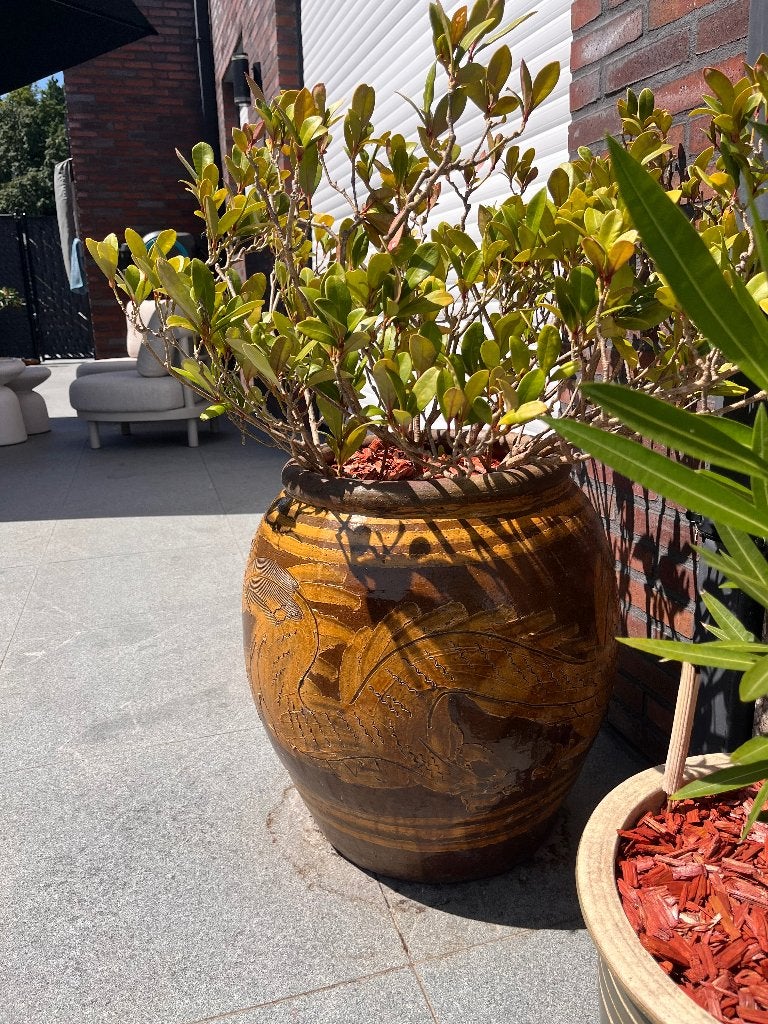 Prachtige grote Chinese eierpot met drakenmotief blikvanger, Ophalen