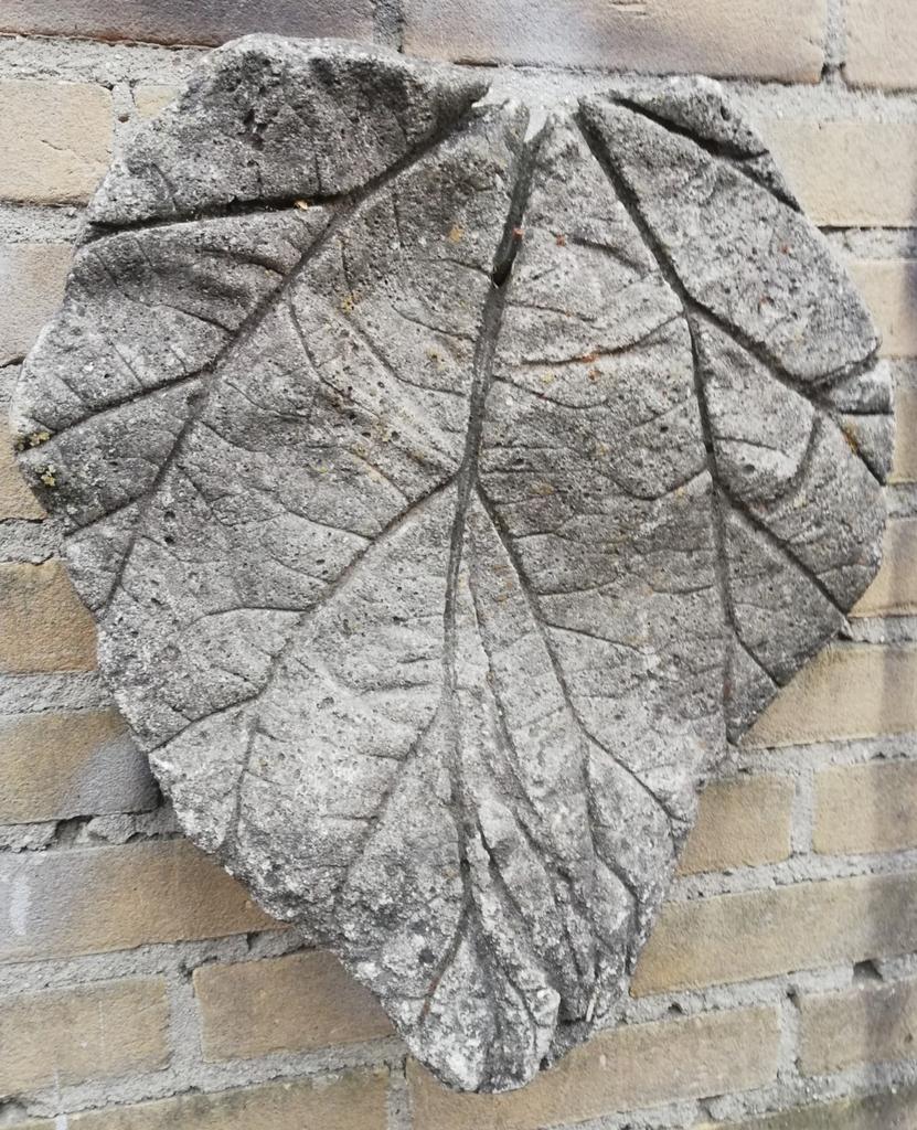 Boomblad. Beton. 37/42 cm., Ophalen, Zo goed als nieuw