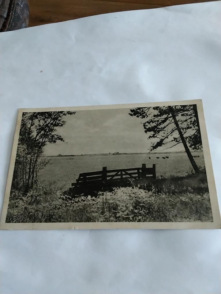 TEXEL.   GEZICHT OP DEN HOORN. 1947, Ophalen of Verzenden, 1940 tot 1960, Waddeneilanden