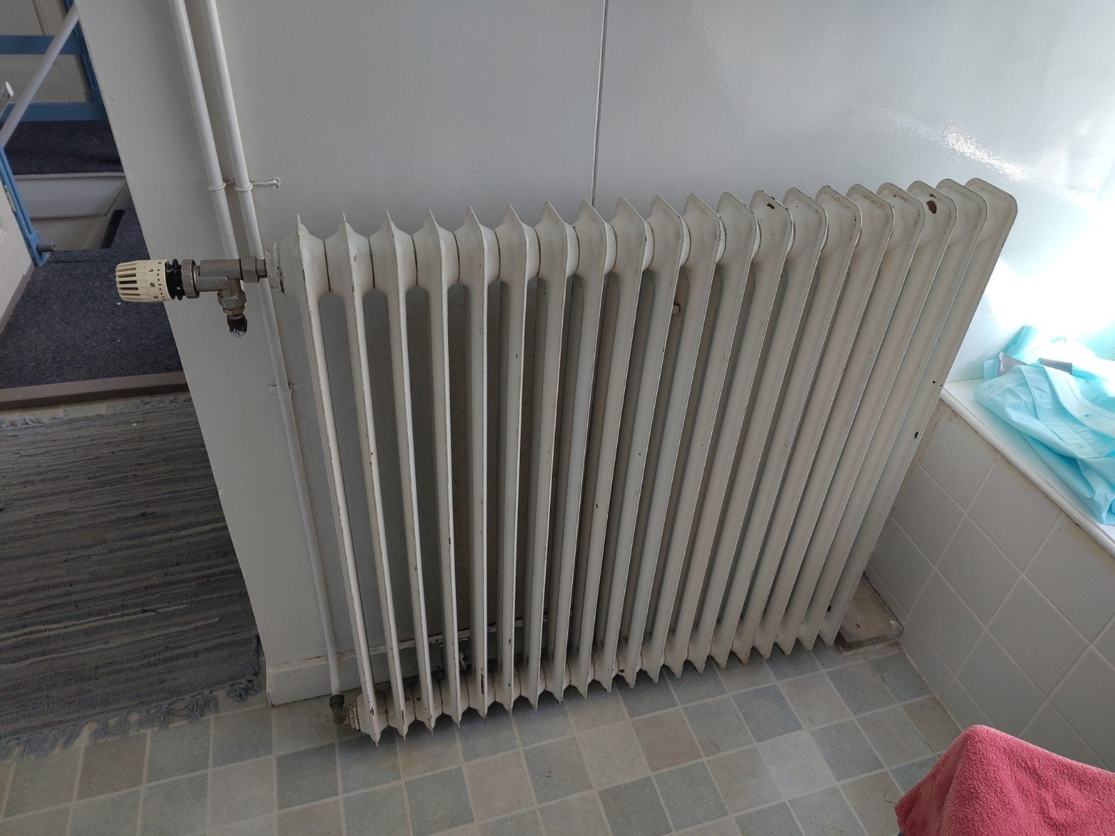 Witte en of paarse radiator met thermostaatknop, Ophalen, 30 tot 80 cm, Radiator, 60 tot 150 cm